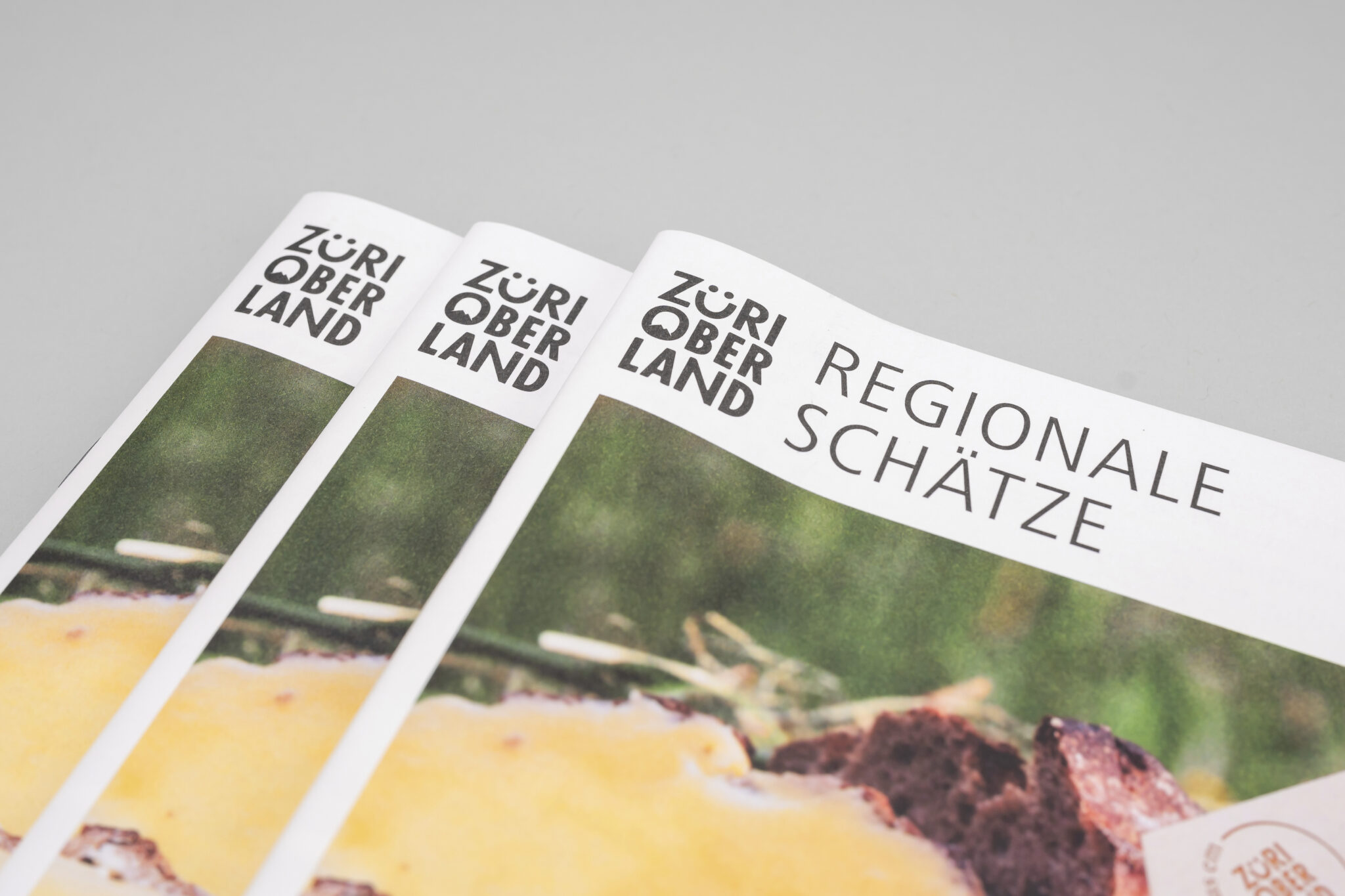 standortfoerderung-zueri-oberland-drucksachen