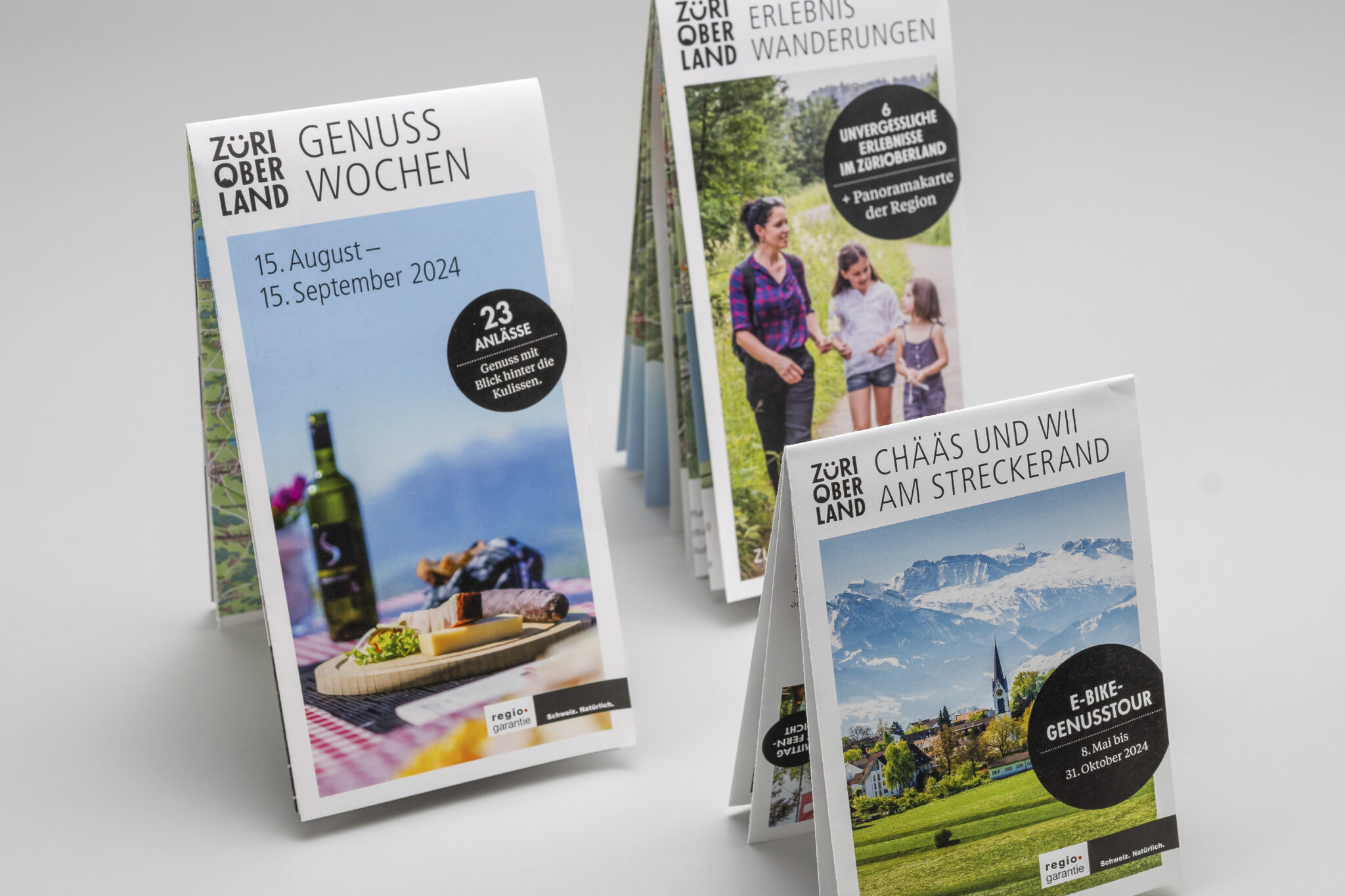 standortfoerderung-zueri-oberland-karten