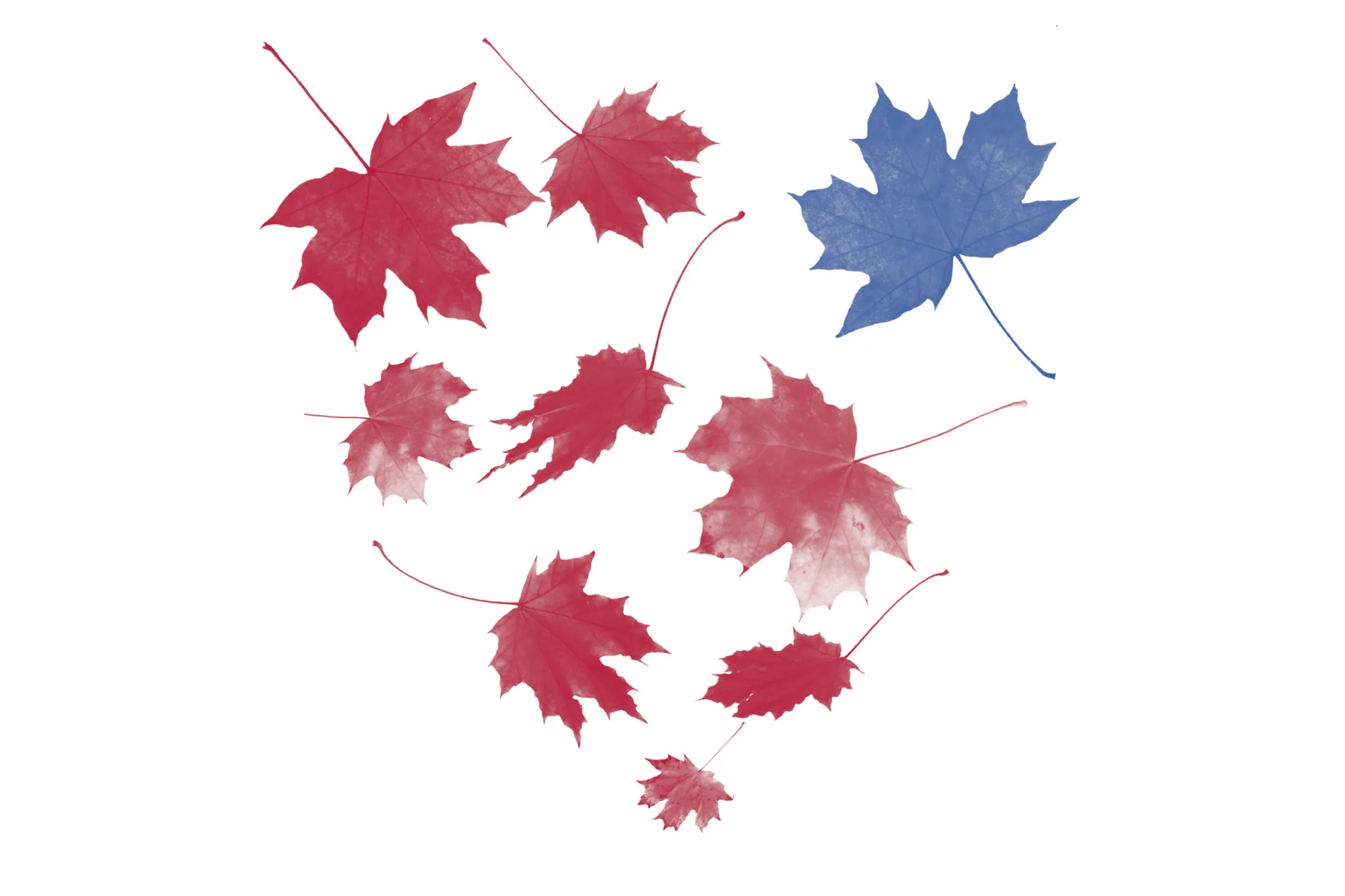 360-exellence-keyvisual-leafs