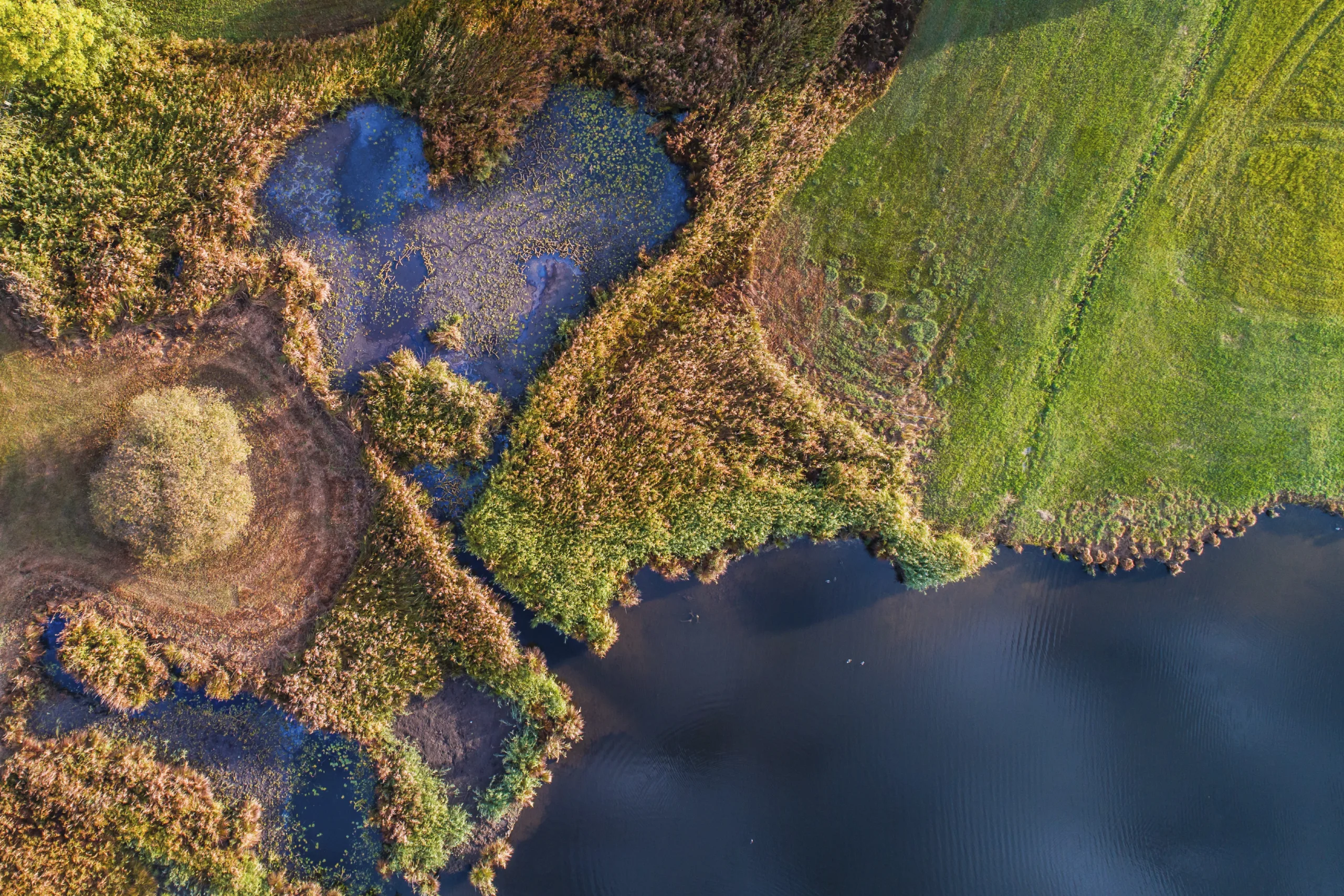 standortfoerderung-zueri-oberland-luetzelsee