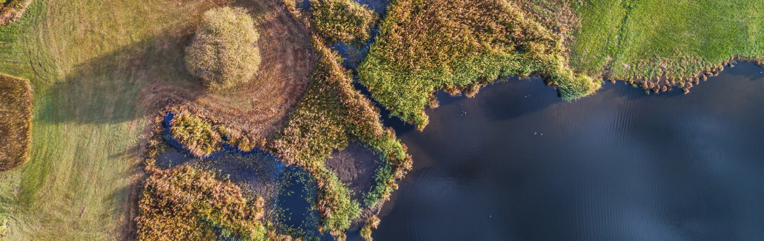 standortfoerderung-zueri-oberland-luetzelsee