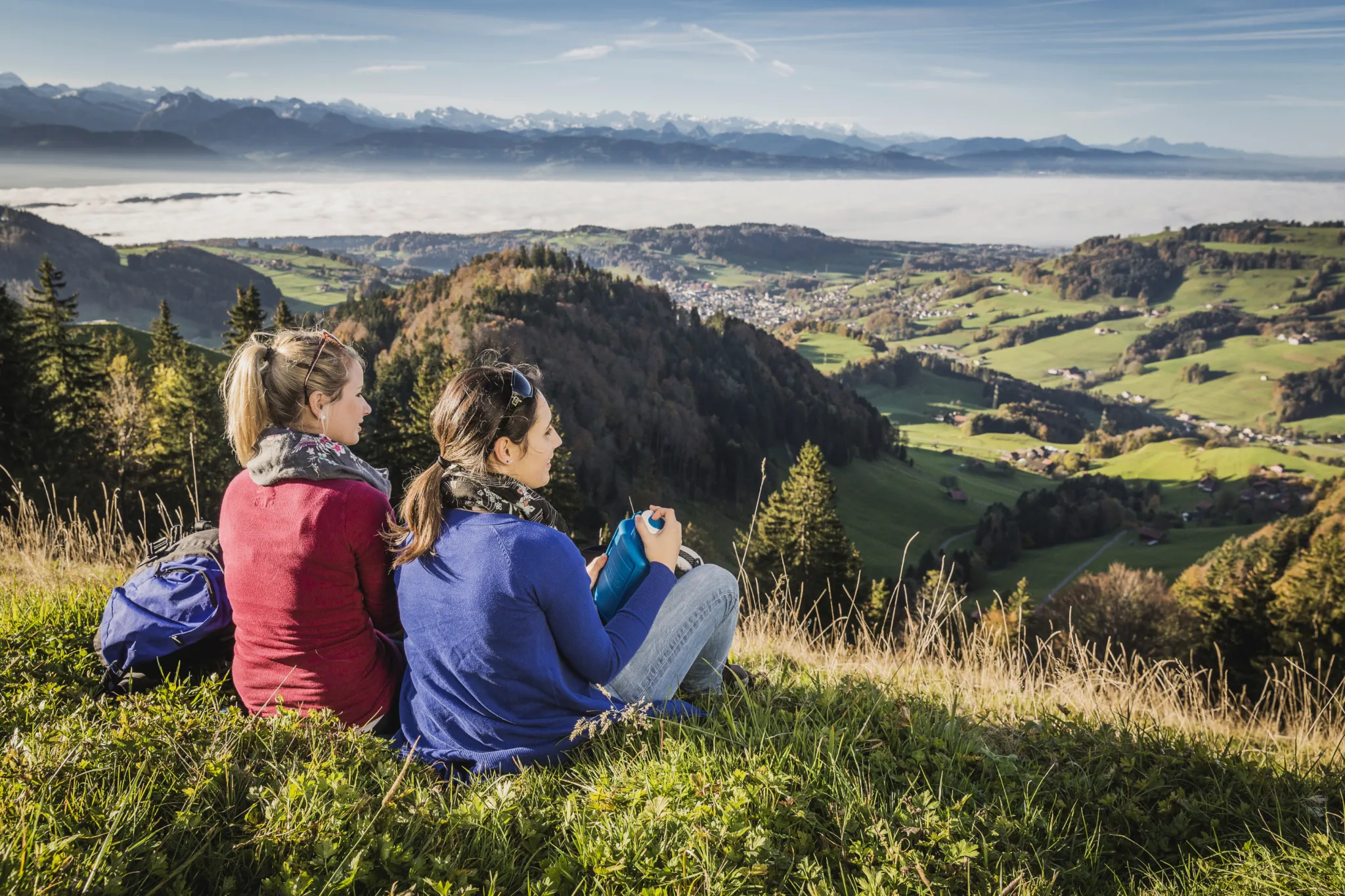 standortfoerderung-zueri-oberland-alp-scheidegg